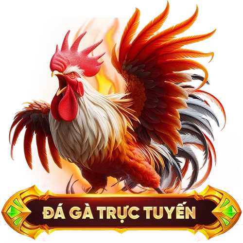 bg1